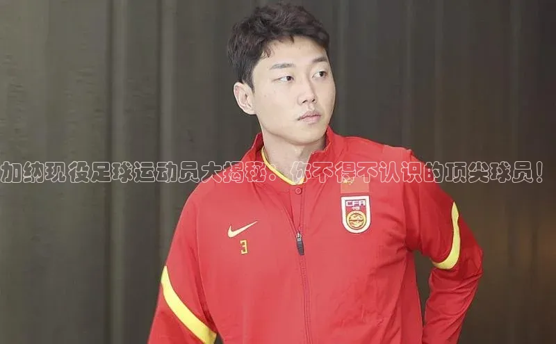 2121非凡网页版百度手机助手加纳现役足球运动员大揭秘：你不得不认识的顶尖球员！