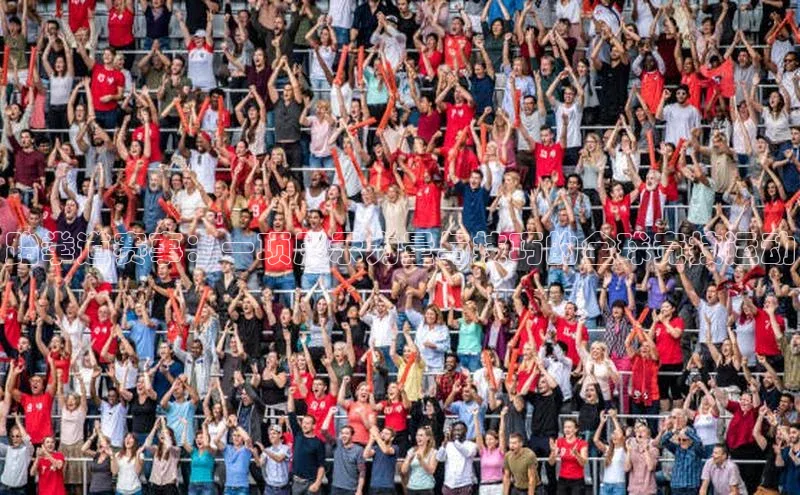 跆拳道赛事：一项展示力量与技巧的全球竞技运动