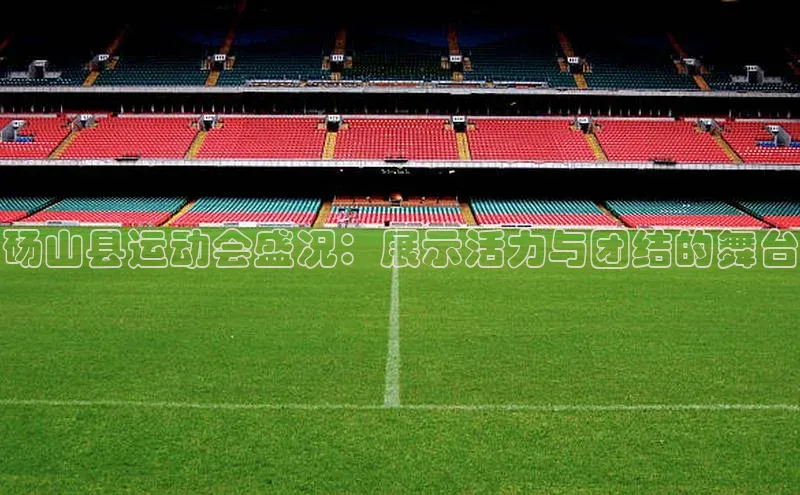 砀山县运动会盛况：展示活力与团结的舞台
