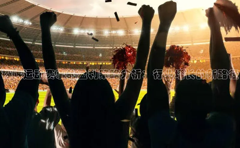 极限运动赛事的盈利策略分析：行业增长的新路径