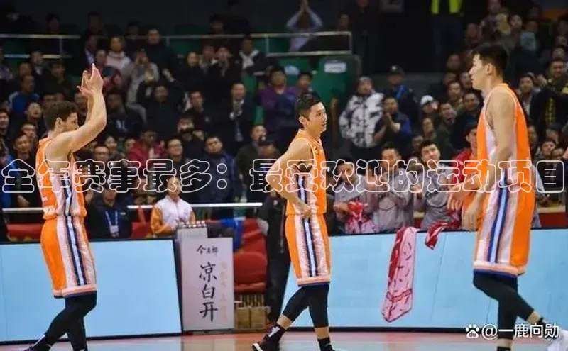 全年赛事最多：最受欢迎的运动项目