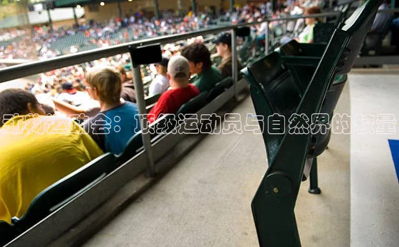 动物运动会：顶级运动员与自然界的较量