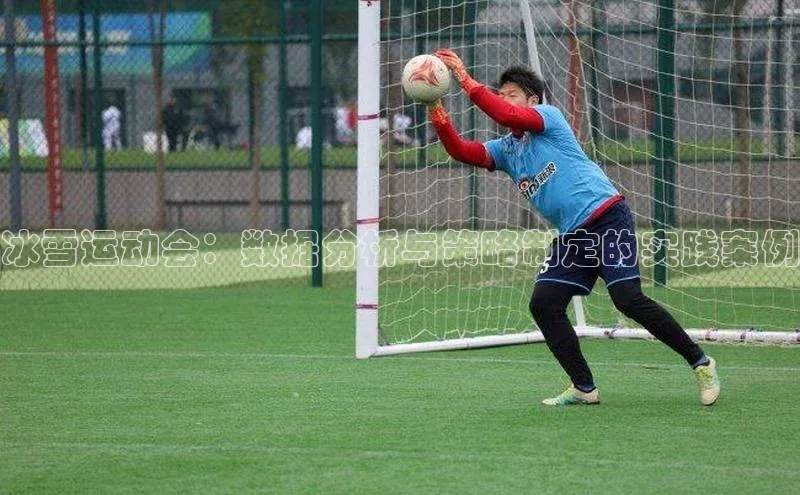 冰雪运动会：数据分析与策略制定的实践案例