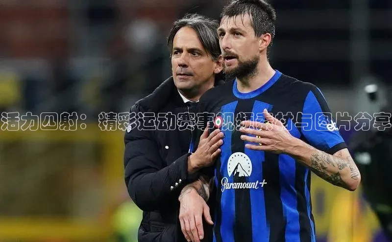 活力四射：精彩运动赛事视频素材与图片分享